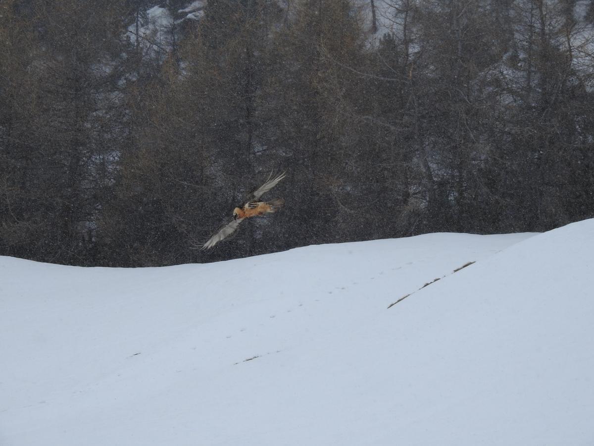Baita Laura Livigno Kültér fotó